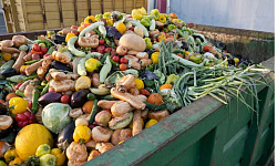 a commercial garbage bin filled to the brim with thrown out fruits and vegetables