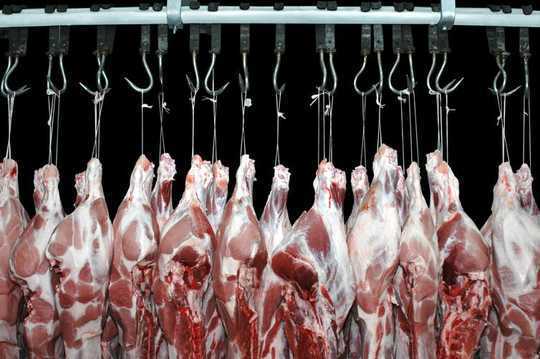 5 Ways The Meat On Your Plate Is Killing The Planet