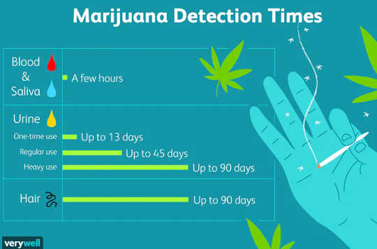 Cannabis testing. (cannabis use after work does not affect productivity)